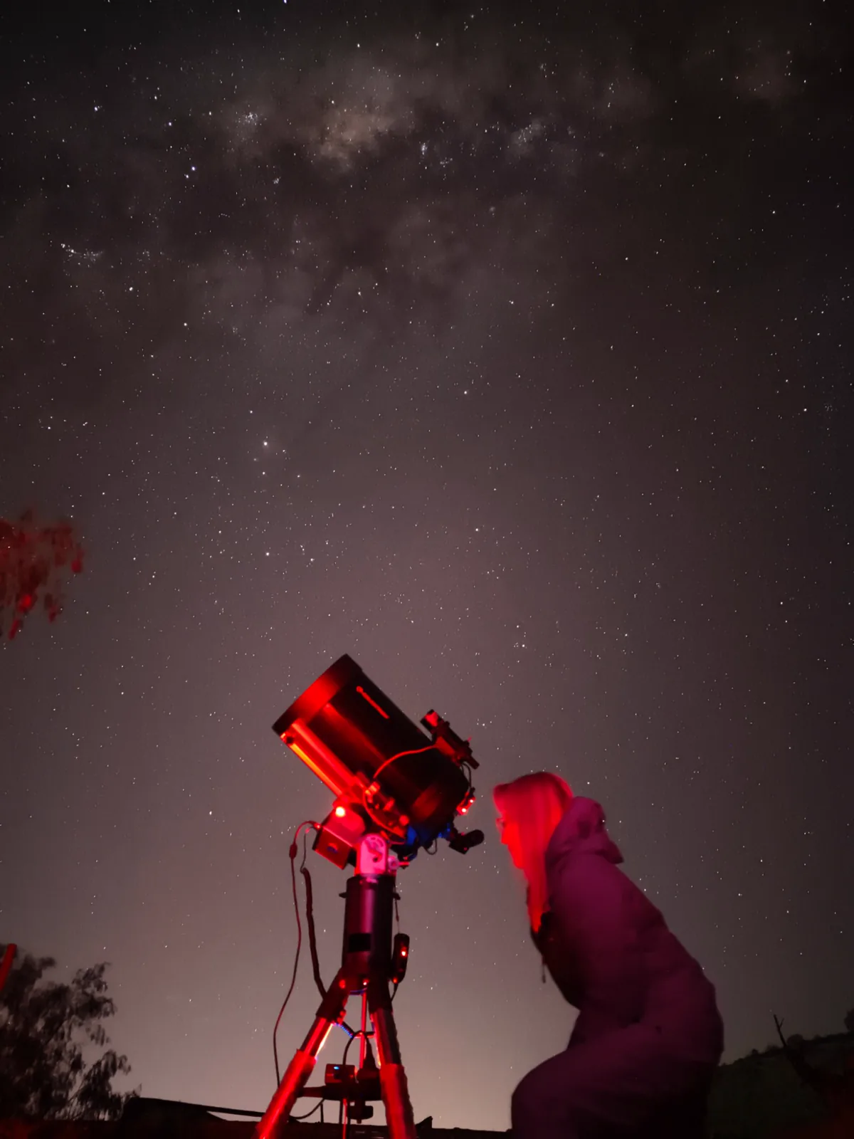 Observando con el Celestron C11